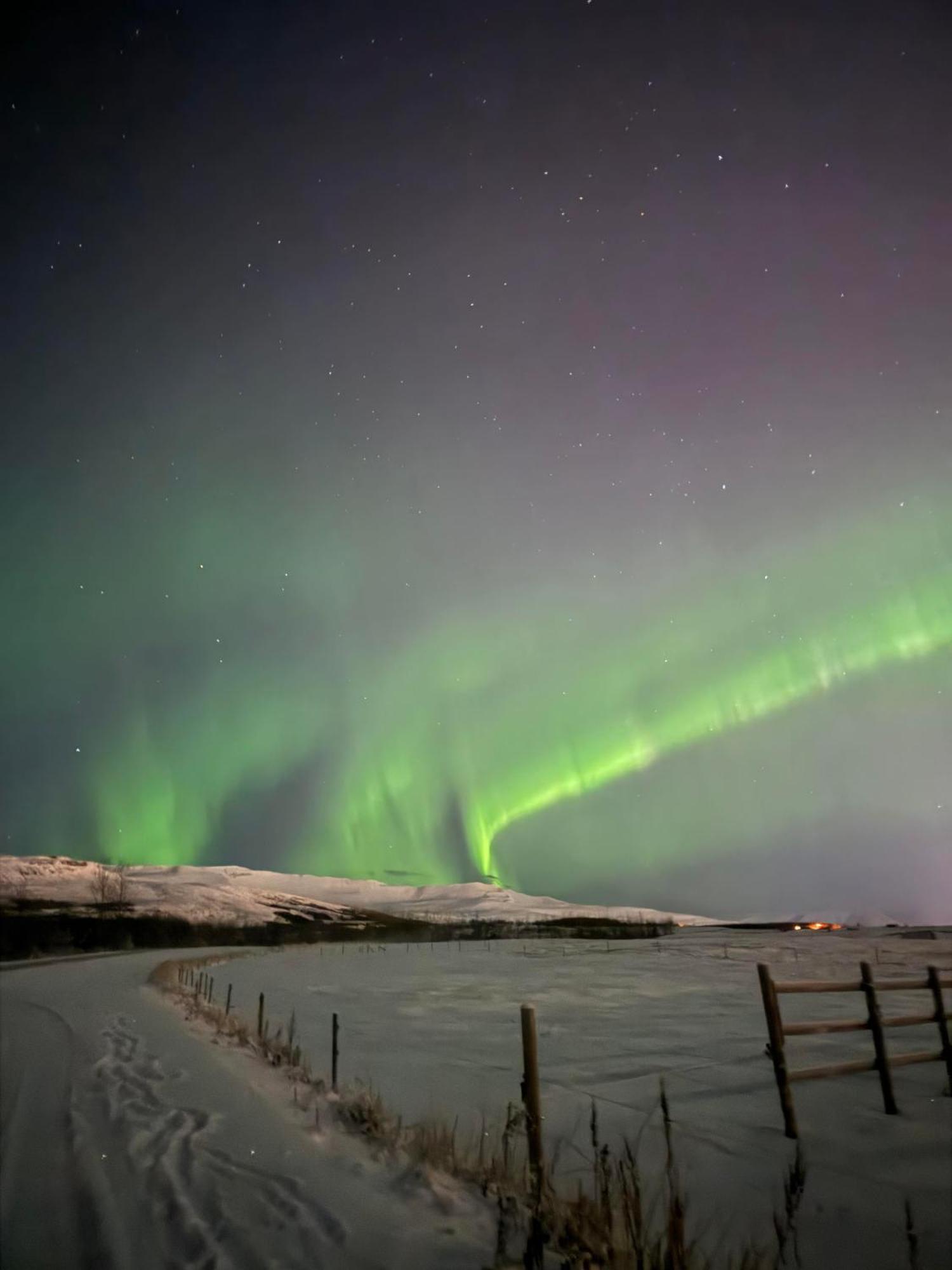 Hotel Kjarnalundur- Aurora Dream - Lodges And Rooms Akureyri Esterno foto